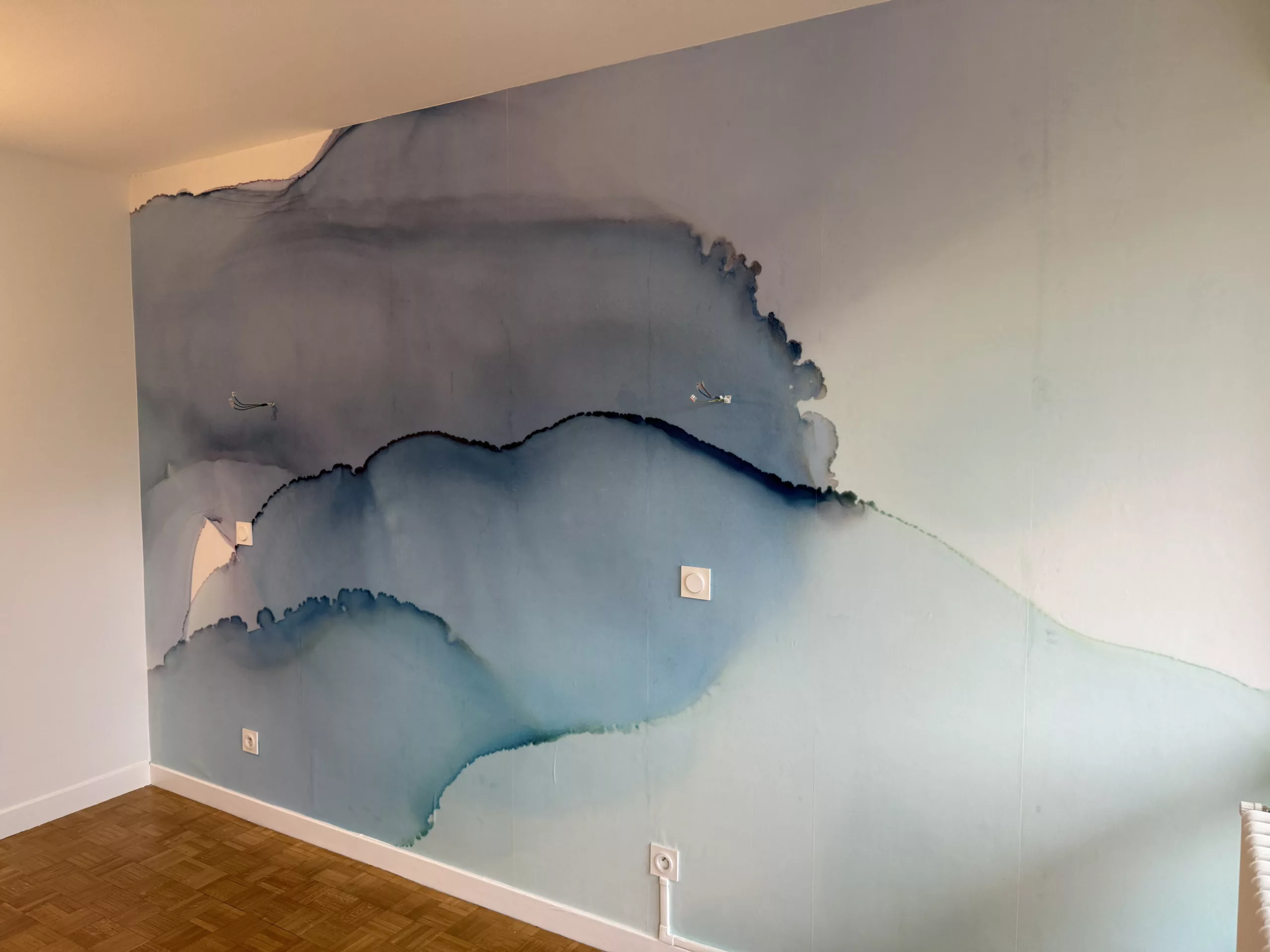 Esc Renovation Peinture Et Tassin La Demi Lune APPART AIX LES BAINS 4