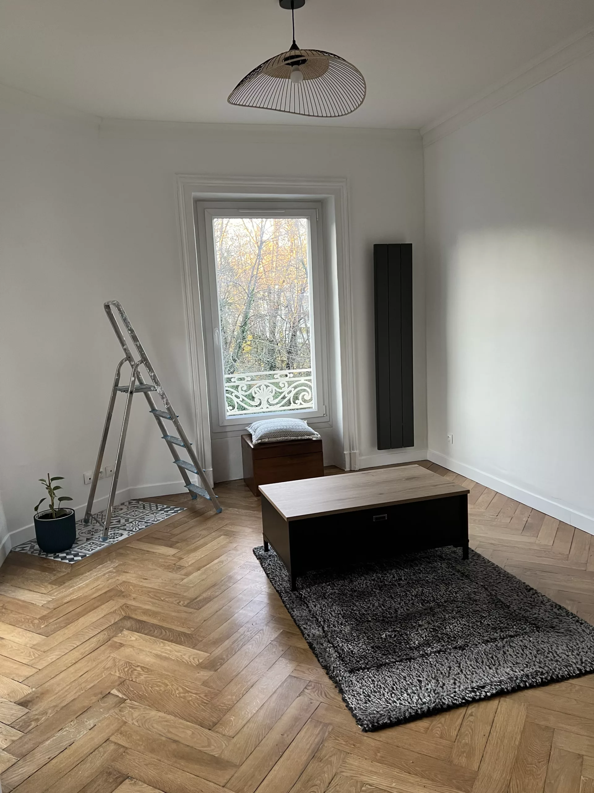 Esc Renovation Peinture Et Tassin La Demi Lune APPARTEMENT ECULLY 1